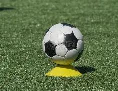 花少,爆火原因揭,那英个性鲜,问鼎娱乐官网入口,问鼎娱乐下载,问鼎娱乐官网h5,问鼎娱乐官方网站